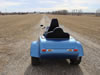 Custom Roadstar Trike: Image